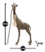Mauro Ferretti TAFELLAMP GIRAFFECM 28X16X60 - 1711670003