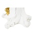 Mauro Ferretti TAFELLAMP PAPEGAAI CM 20X20X50,5 - 1712550000