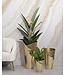 Mauro Ferretti VAASHOUDER FLOSTY SET 3 STUKS CM 39X42X75-32X32X55-25X25X35