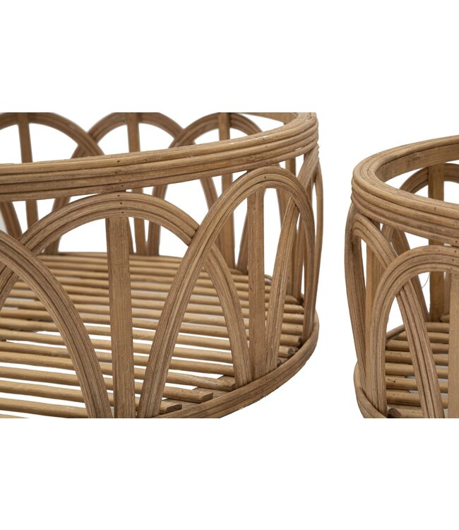 Mauro Ferretti DIENBLAD FUJI SET 3 STUKS CM Ø 50X16-40X14-30X12