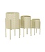 Mauro Ferretti VAAS HGOLDER BETSY SET 3 STUKS CM Ø 36X56,5-30X48,5-24X37,5