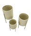Mauro Ferretti VAAS HGOLDER BETSY SET 3 STUKS CM Ø 36X56,5-30X48,5-24X37,5