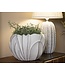 Mauro Ferretti CACHEPOT GARDY CM Ø 34,5X23,5 - 421280000