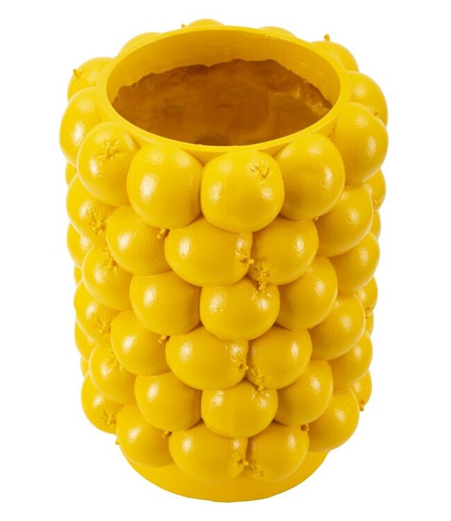 Mauro Ferretti VAAS CITROENEN CM Ø 21X28