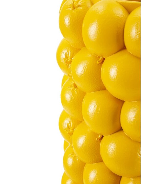 Mauro Ferretti VAAS CITROENEN CM Ø 21X28