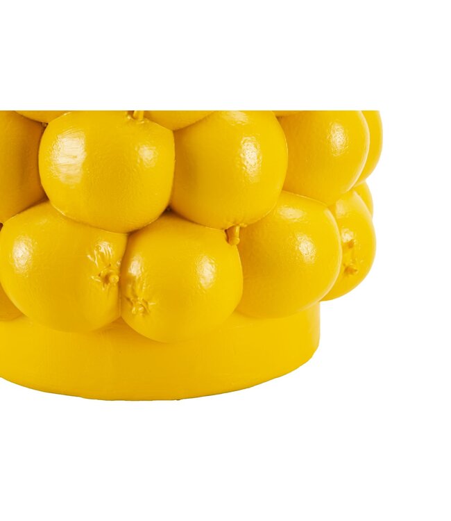 Mauro Ferretti VAAS CITROENEN CM Ø 21X28