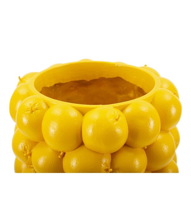 Mauro Ferretti VAAS CITROENEN CM Ø 21X28