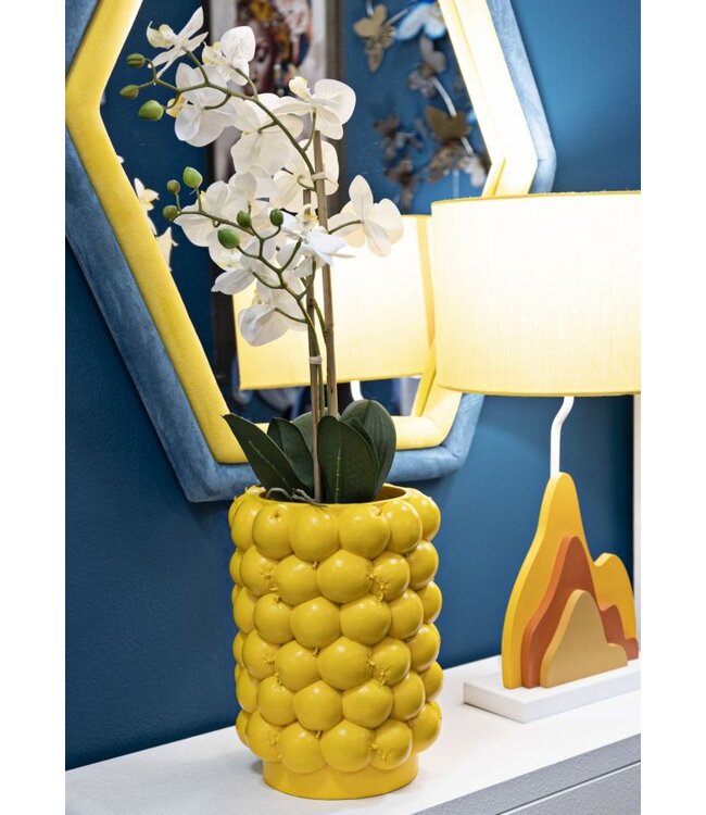 Mauro Ferretti VAAS CITROENEN CM Ø 21X28