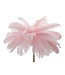 Mauro Ferretti VLOERLAMP PALM ROZE CM Ø 55X160 - 17123200R1