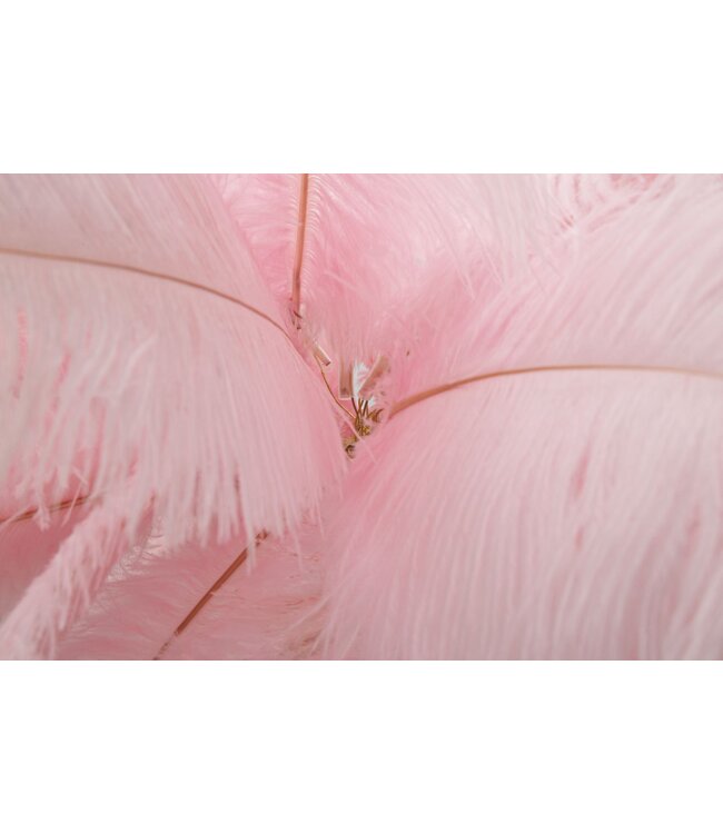 Mauro Ferretti VLOERLAMP PALM ROZE CM Ø 55X160 - 17123200R1