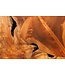 Invicta Interior Massieve zuil TRIBAL 110cm bruin naturel teakhout handgemaakte decoratie - 44710