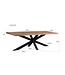 Livingfurn Sturdy Tree Top Spider 160 cm-11976