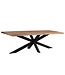 Livingfurn Sturdy Tree Top Spider 200 cm-11977
