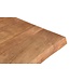 Livingfurn Sturdy Tree Top Spider 200 cm-11977