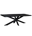 Livingfurn Kala Tree Top Spider 220 cm-12171