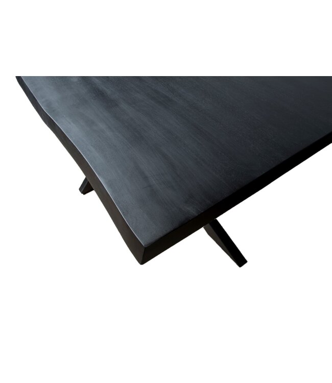 Livingfurn Kala Tree Top Spider 220 cm-12171