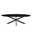 Livingfurn Oslo Black Oval 240 cm-12540