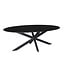 Livingfurn Oslo Black Oval 240 cm-12540