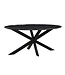 Livingfurn Marble Oval Spider Black 180cm-12741