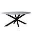 Livingfurn Marble Oval Spider White 180cm-12814