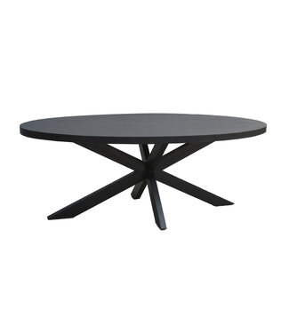 Livingfurn Kala Oval Spider 160cm-31059