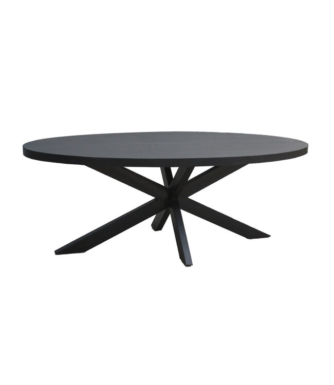 Livingfurn Kala Oval Spider 160cm-31059