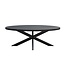 Livingfurn Kala Oval Spider 160cm-31059