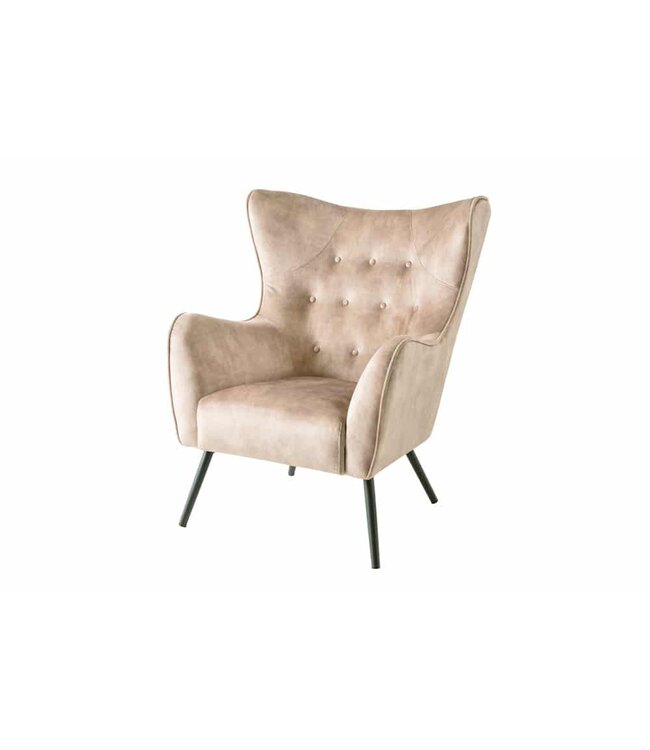 Invicta Interior Design XL fauteuil AMSTERDAM champagne fluweel zwart metalen poten retrostijl - 43568