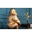 Invicta Interior Decoratief Gorilla-figuur KONG 40cm goud handgemaakt metalen sculptuur - 41687