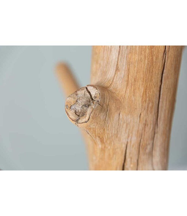 Invicta Interior Massieve kapstok TREE NATURE 170cm kledingrek van natuurlijk hout - 41646