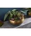 Invicta Interior Handgemaakte decoratieve kom ORIENT 31cm goud met patina in klassiek gehamerd ontwerp - 41561