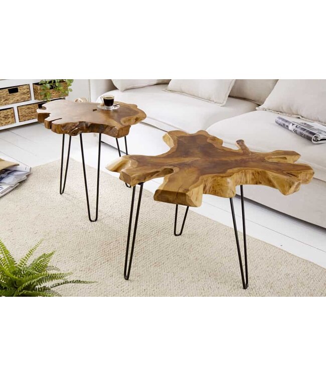 Invicta Interior Unieke bijzettafel WILD 50cm teakhouten salontafel - 38243