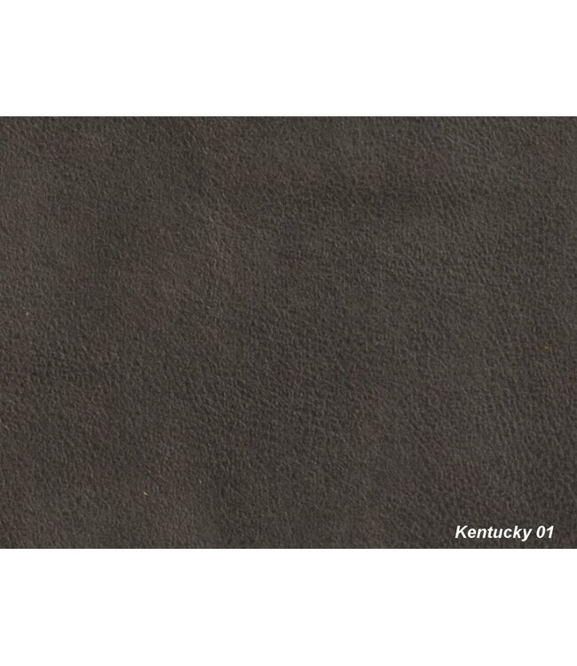 DGB Agenturen Hoekbank Bari 2.5 zits Warm taupe - Kentucky1