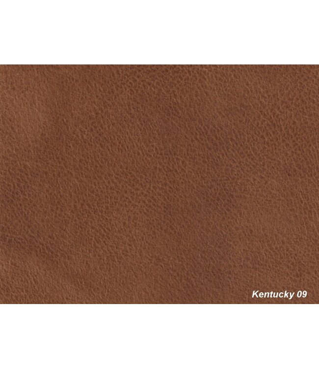 DGB Agenturen Hoekbank Bari 2.5 zits Cognac- Kentucky9
