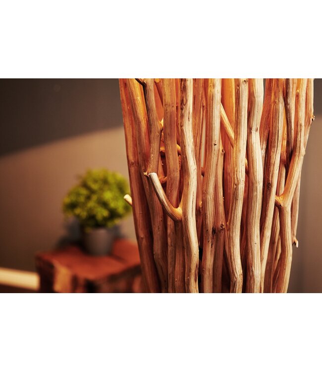 Invicta Interior Vloerlamp EUPHORIA 180cm driftwood - 20697