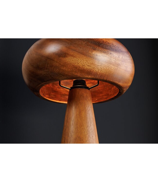 Invicta Interior Tafellamp ALVA 40 cm, ijzer en acaciahout, naturel - 47027