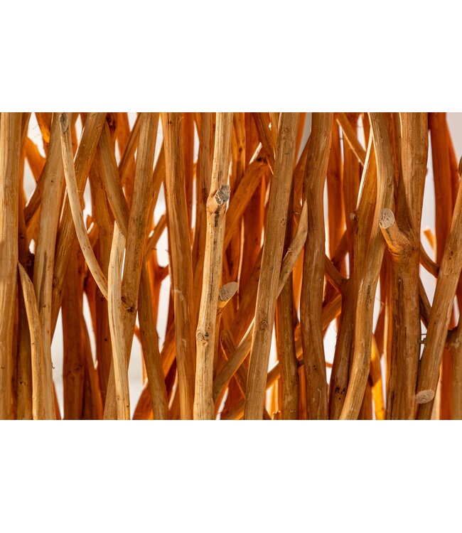 Invicta Interior Vloerlamp NATURAL PARAVENT 180cm longanhout naturel incl. lichtbron - 40505