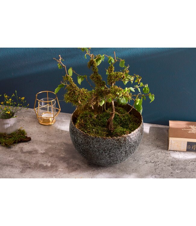 Invicta Interior Kom ORIENT 24 cm zilver met patina - 41564