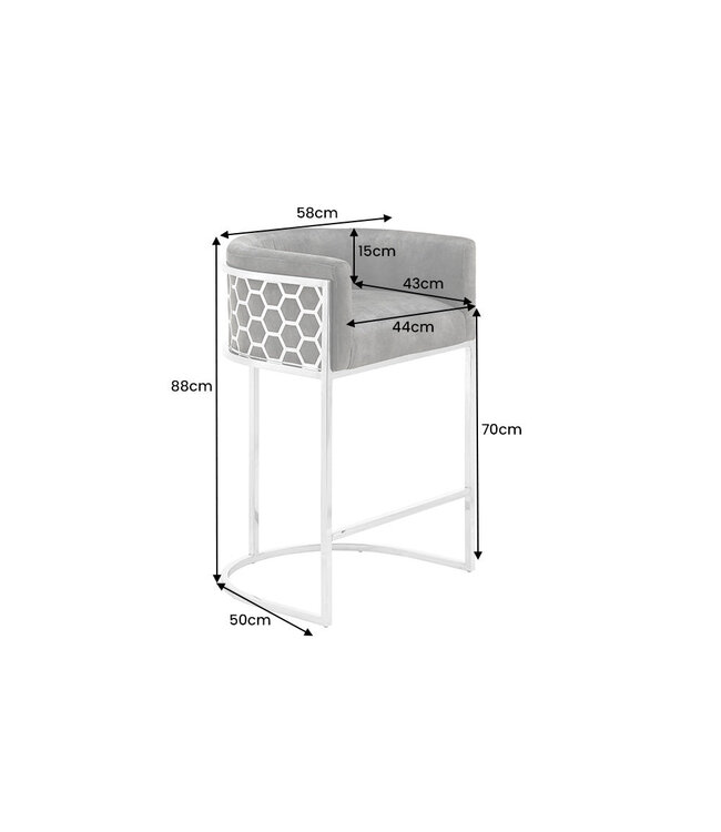 Invicta Interior Barkruk ELEGANCE fluweelgrijs met zilverkleurig roestvrijstalen frame - 47504