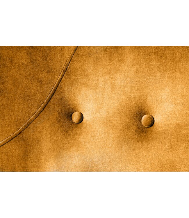 Invicta Interior Fauteuil AMSTERDAM, fluweel, mosterdgeel, zwarte metalen poten - 44484