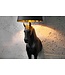 Invicta Interior Vloerlamp BLACK BEAUTY 130cm zwart paard - 6530082