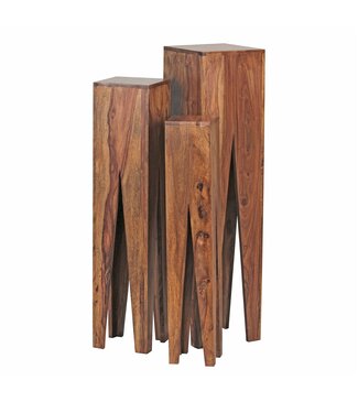 Wohnling Bijzettafelset sheeshamhout 25x100x25 cm
