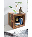 Wohnling Bijzettafel Calcutta 45 x 45 x 35 cm, Massief Houten Cube Tafel voor Woonkamer, Salontafel met Opbergruimte, Nachtkastje - Nachtconsole - Nachtkastje