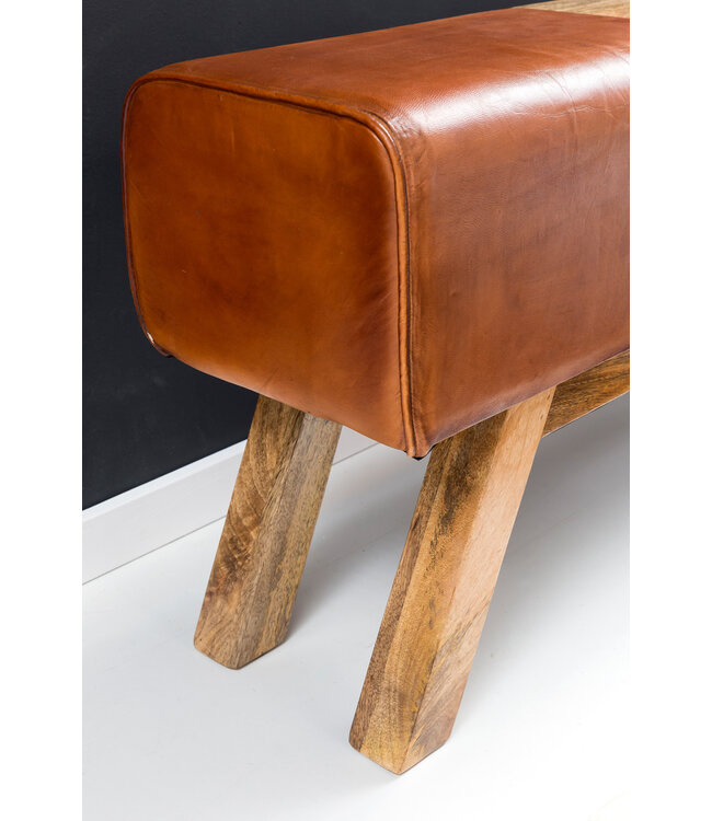 Wohnling Ontwerp Turn Bock Bench Brown Opbergruimte 120 x 29 x 53 cm | Draai voetbank gemaakt van echt leer vouwen compartiment | Kruk Garderobebank Kruk gymnastiek- bank