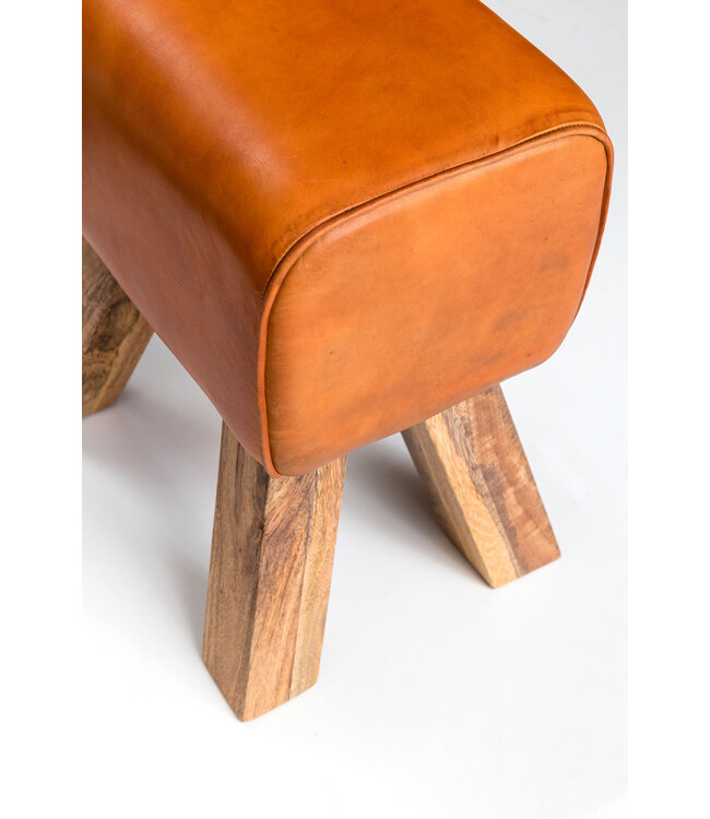 Wohnling Ontwerp Draai Bock Stool Brown 40 x 30 x 47 cm | Draai kruk kruk leer kruk | Extra kruk leren poef