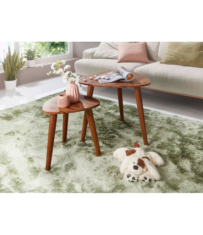 Wohnling Design nesttafel WL5.574 Sheesham massief houten bijzettafel set van 2 kleine | Koffietafel Set 2 houten tafels | Massief houten salontafel | Smalle salontafel van palissander