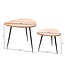 Wohnling set van 2 nesttafels acacia massief houten / metalen salontafel klein | Design bijzettafel set van twee houten tafels Woonkamer tafel tafel metalen frame