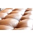 Wohnling bank echt leer / massief houten bank bruin 125x50x38 cm Chesterfield | Design gestoffeerde bank hal | Leren bank bedbank 2 personen | Moderne gangbank