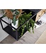 Wohnling HiFi Lowboard Hangend Mango Massief Hout / Metaal 150x25x35 cm TV-Dressoir Zwart | Design TV-Meubel Modern | TV-Tafel Wand | TV-Bord Woonkamer