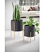 Wohnling bloempot set van 2 metalen plantenpotten zwart/goud met poten | Design plantenpot rond binnen | Bloempot plantenbak met honingraatpatroon in 3D